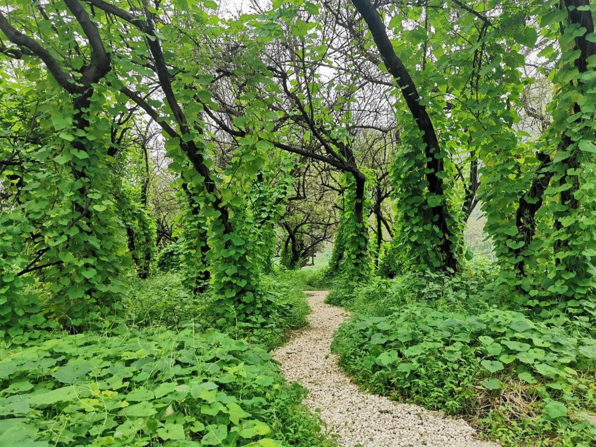 G R A N D C H A L E T Villa Salalah Buitenkant foto